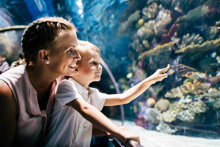 A mother and son looking at an aquarium